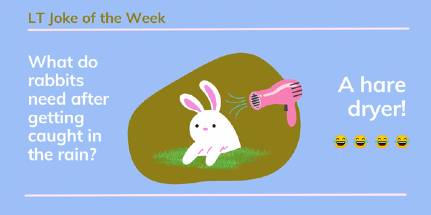 What do rabbits need after getting caught in the rain? A Hare Dryer!